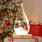 Storm Glass Weather Predictor  Christmas Gifts Snow Globe Weather Forecast
