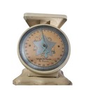 Vintage Metal Baby Scale 30lb Shabby Chic Cottagecore Farmhouse Decor