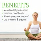 9 26 Garden Of Life Vitamin B Complex  60 Vegan Capsules  High Potency Vitamins