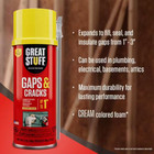 12 Oz  Gaps And Cracks Insulating Spray Foam Sealant  Cures As A Cream Colored
