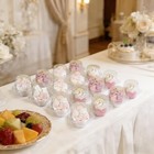 Pack Individual Cupcake Containers Plastic Cupcake Boxes Cupcake Holders 50