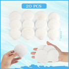 Jangostor 20 Pcs Scallop Shells Natural Seashell  2 3  To 3 5  White Scallop