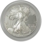 1998 P American Silver Eagle Choice Proof Bullion  1 Coin Ogp Coa