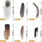 Holmgren 24pcs Natural Feathers Bulk - 6 Styles Assorted Peacock  Pheasant  Turk