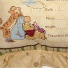  Embroidered Winnie The Pooh 13  Keepsake Birth Certificate Announcement Pillow