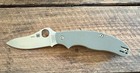 Spyderco Uk Pen Drop Point Knife -c94gpfg3- Foliage Green - Cc  043 - New In Box