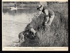 1930s Vintage Chesapeake Bay Retriever Print Retrieving Duck 6696j