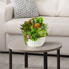 14-pack Artificial Succulents Unpotted Realistic Faux Plants For Diy Decor