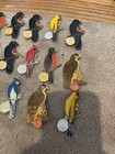 Lions Club Pin Lot Of  30   Large Bird Pins New Jersey  Dallas Etc