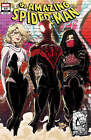  2 Pack  Amazing Spider-man  64 Unknown Comics Kaare Andrews Connecting Cover Ex