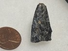 Rare Authentic Tyrannosaurid Tooth     Nanotyrannus Hell Creek Fm Dinosaur Fossil