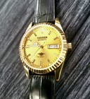 Rare Vintage Citizen Eagle 7 Automatic Men s Vintage Watch