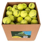 Bulk Low Cost Doggie Balls -  Used Tennis Balls For Dog Training - Free Shipping