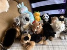Webkinz Bundle Or Individual  code  Ntw  No Code  Signature 