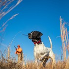 Garmin Alpha 300 300i Track   Train Remote Handheld   Dog Device Collars