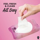 Summer s Eve Simply Sensitive Daily Gentle Feminine 32 Count  pack Of 1 