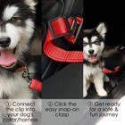 2 Pcs Cat Dog Pet Safety Nylon Seat Belt Adjustable Durable Harness Lead Leash