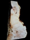 Xl Hardwood Curly Birdseye Maple Burlwood Blank  Figured Maple Burl  Epoxy Wood 