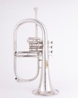 Flugelhorn Sliver  3 Valve  Ultrasonically Clean  Case And Mouthpiece