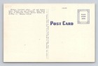 Yellowstone National Park-beartooth Cabins  Red Lodge  Vintage Souvenir Postcard