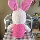 Disney Baby Winnie The Pooh Piglet Plush Stuffed Animal Small 2022 Dn27801