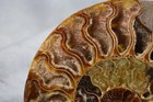 Large Split Ammonite Pair Crystal 110myo Dinosaur Age Fossil 146mm 5 7  4116bb