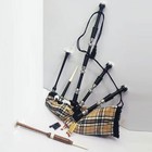 Scottish Great Highland Bagpipe Rosewood Black Finish Silver Mounts Carrying Bag