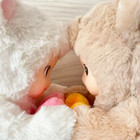 2023 Authentic Sonny Angel White Brown Cuddly Bear Figure Designer Toy  Hot New 