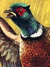 1950s Western Winchester Pheasant Vintage Style Hunting Poster - 24x36