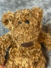Vguc-10    Gund  Schlepp Brown Teddy Bear Plush Stuffed Animal 2417