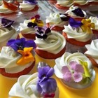 Fresh Edible garnish Flowers Violas Free Overnight Fed Ex  50