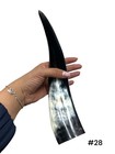 One Small Polished Cow Horn   Real Horn   One Of A Kind   Natural Color    28