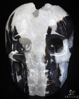2 0  Black Zebra Agate Hand Carved Crystal Skull  Realistic  Crystal Healing