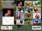 Big Cocks Calendar 2026 Rooster Monthly Wall Calender 12 Month 12x18