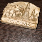 Thailand Souvenir Refrigerator Magnet     Preowned