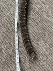 Vintage Natural Seed Pod Rattle Shaker Folk Art Percussion Instrument 20 