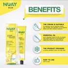 3x Namman Muay Thai Boxing Cream 100g Liniment Warm Massage Oitment Original