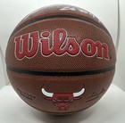 Caleb Wilson Autographed Wilson Nba Team Alliance Basketball Bulls 26  4 Pick  