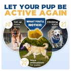 Jope Dog Hip   Joint Support Chews For Small Medium Large Dogs - 60 Chews