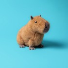Jellycat Clyde Capybara Soft Plush Toy In Brown With Dust Bag Included