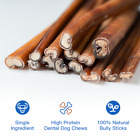 Premium Bully Sticks 6  100  Natural Beef Bully Sticks Dog Chews   Treats