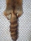 Nice Beautiful Red Fox Fresh Tanned Hide Super Soft  Leather Craft Pelt Fur 