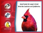 Pennington Red Cedar Natures Friend Hopper Bird Feeder  3 Lb Capacity