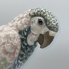Amphora Czechoslovakia Porcelain Figurine Of A Parrot 13 1 2  Tall  Outstanding