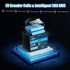 12v 10ah 30ah 50ah 60ah 100ah 120ah Lifepo4 Lithium Battery Bms For Rv Boat New