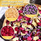Natural Dried Flower Petals Weddings Diy Crafts W  Paper Cups   Stickers New