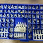 New Polycarbonate Temporary Dental Crowns Box Kit 360 Pcs W  Crown Mold Guides