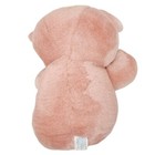 Dan Dee Teddy Bear Plush 8  Stuffed Animal Toy Pink Floral Ears Paws Bow