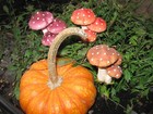 Fairy Garden Mini Mushroom Picks Set Of 3