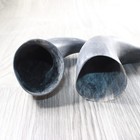 2 Raw Unfinished Cow Horns  1958     Natural Colored